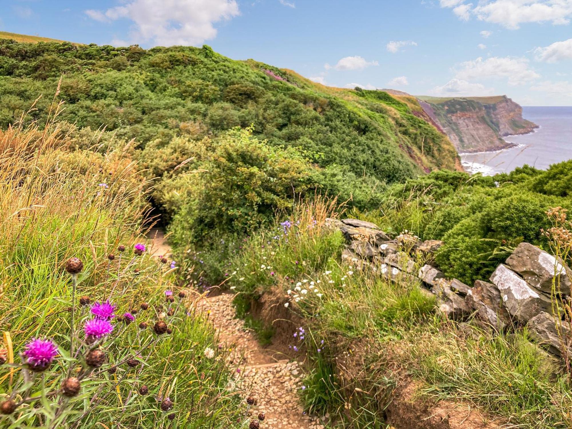 Rose Cottage Sandsend Dış mekan fotoğraf
